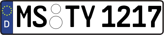 MS-TY1217