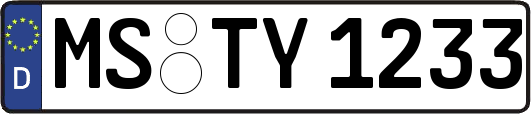 MS-TY1233