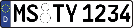 MS-TY1234