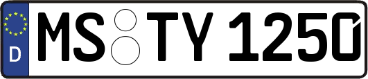 MS-TY1250