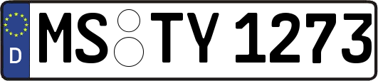 MS-TY1273