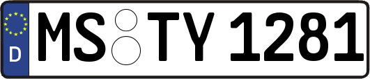 MS-TY1281