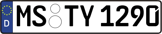 MS-TY1290