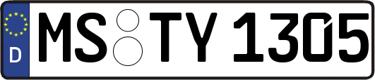 MS-TY1305