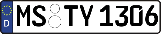 MS-TY1306