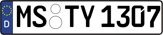 MS-TY1307