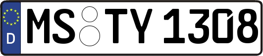 MS-TY1308