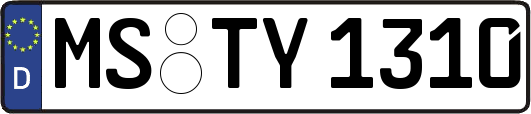 MS-TY1310