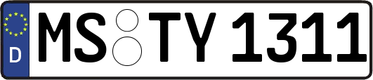 MS-TY1311
