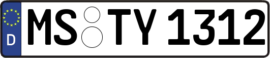 MS-TY1312