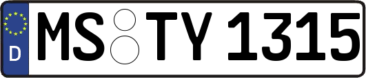 MS-TY1315