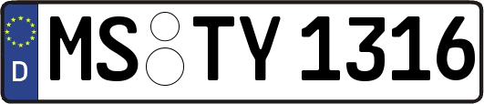 MS-TY1316