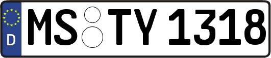 MS-TY1318