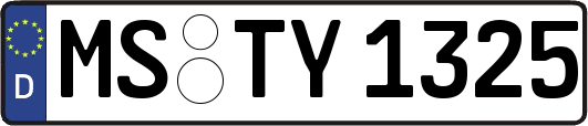 MS-TY1325