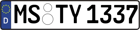 MS-TY1337