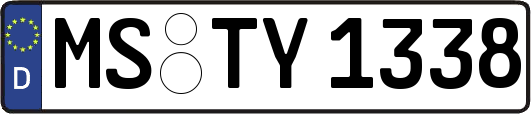 MS-TY1338