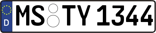 MS-TY1344