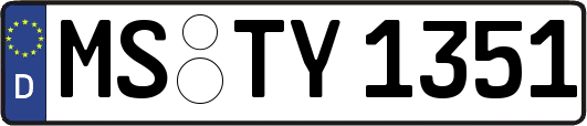 MS-TY1351