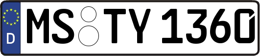 MS-TY1360