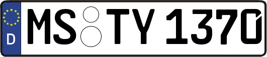 MS-TY1370