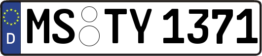MS-TY1371