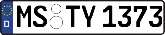 MS-TY1373