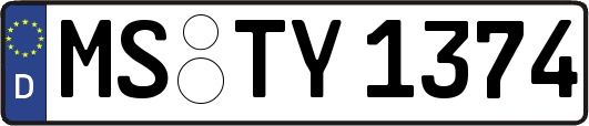 MS-TY1374