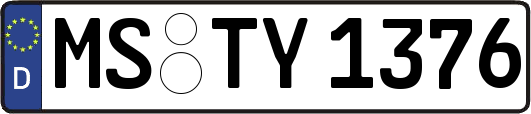 MS-TY1376