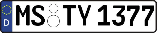 MS-TY1377
