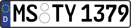 MS-TY1379