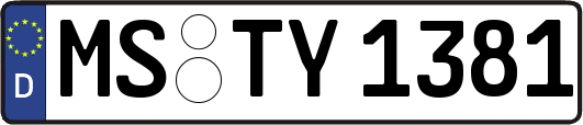 MS-TY1381