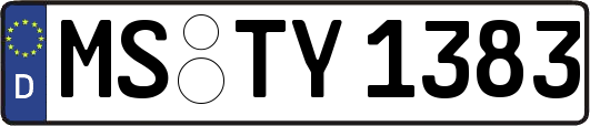 MS-TY1383