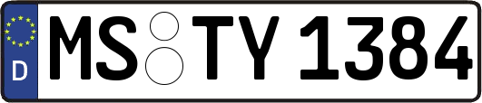 MS-TY1384