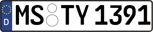 MS-TY1391