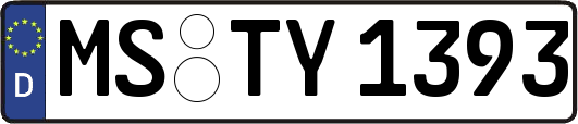 MS-TY1393