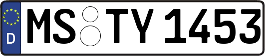 MS-TY1453