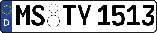 MS-TY1513