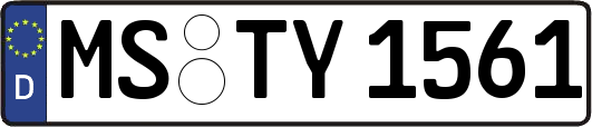 MS-TY1561