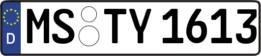MS-TY1613