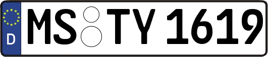MS-TY1619