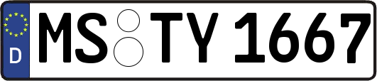 MS-TY1667