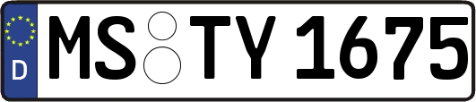 MS-TY1675