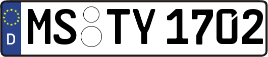 MS-TY1702