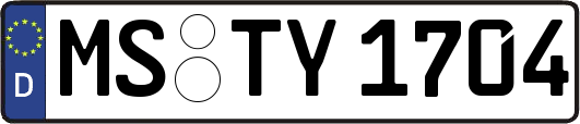 MS-TY1704