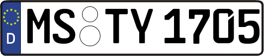 MS-TY1705