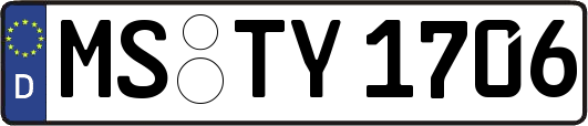 MS-TY1706