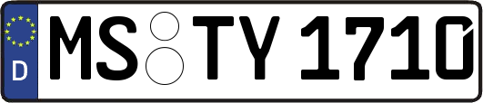 MS-TY1710