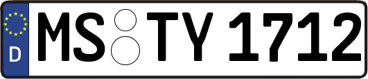 MS-TY1712