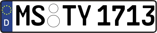 MS-TY1713