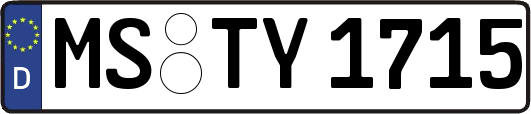 MS-TY1715